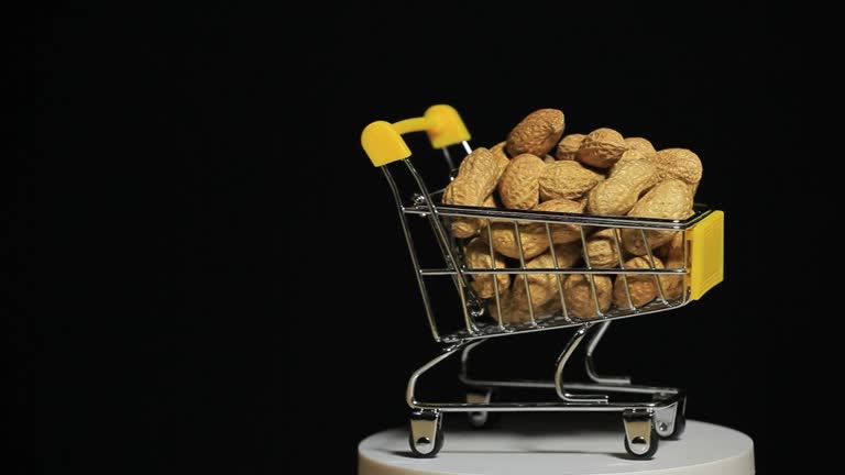 بهینهسازی زنجیره فروش آنلاین آجیل در تبریز با طراحی سایت حرفهای