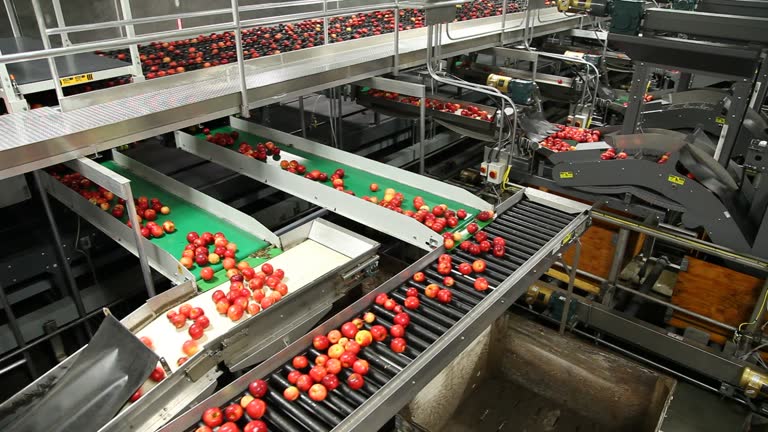 فروش آنلاین محصولات کشاورزی و مدیریت انبار مکانیزه