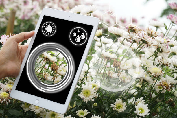 سئو گل و گیاه و اینترنت اشیا برای تشخیص بیماریهای گیاهان در گلخانه هوشمند رشت