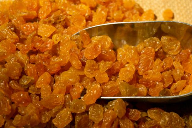 کشمش طلایی در بستهبندی صادراتی با تایید اصالت بلاکچین - پشتیبانی سایت و سئو بینالمللی برای خشکبار - پینو سایت