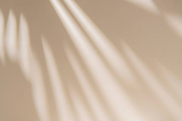 بافتن آینده دیجیتال نساجی یزد: سایه برگها و نور خورشید نمادی از تغییر و رشد - مشاوره دیجیتال مارکتینگ، پورتال B2B صنعتی، فتح بازارهای جهانی