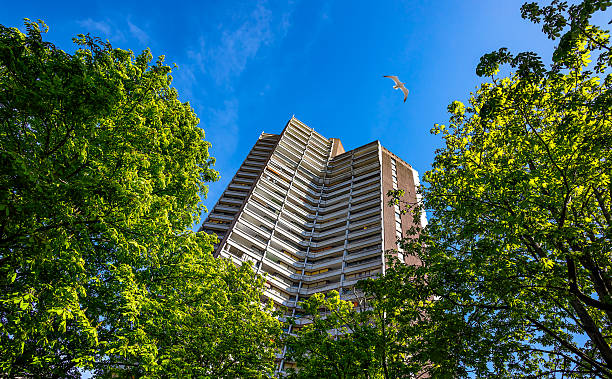 طراحی وبسایت معماری پایدار