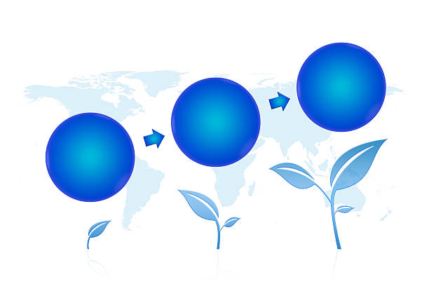 مفهوم رشد کسب و کار در دیجیتال - راهنمای کامل برندینگ دیجیتال و طراحی سایت فروشگاهی برای عطاریهای شیراز ۱۴۰۵ - توسعه کسب و کار عطاری در بازارهای جهانی