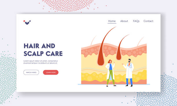 معماری اعتماد در پایتخت زیبایی ایران: استراتژی جامع برندینگ دیجیتال و تولید محتوای سئو برای کلینیکهای پوست و مو در شیراز - مراقبت از پوست و مو توسط متخصصین