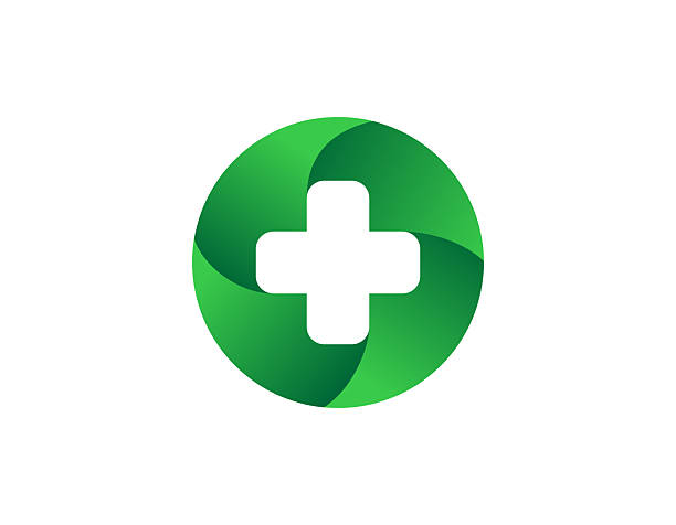 برندینگ دیجیتال گیاهان دارویی اردبیل با طراحی سایت D2C