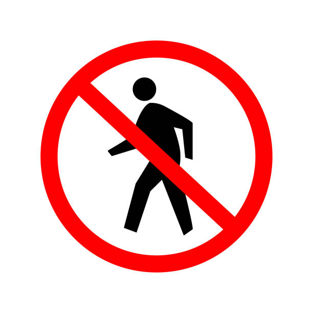 مراحل طراحی وبسایت و پورتال سازمانی توسط پینو سایت