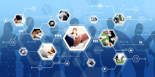 شبکه همکاری و مشاوره دیجیتال مارکتینگ برای کارگزاران گمرکی