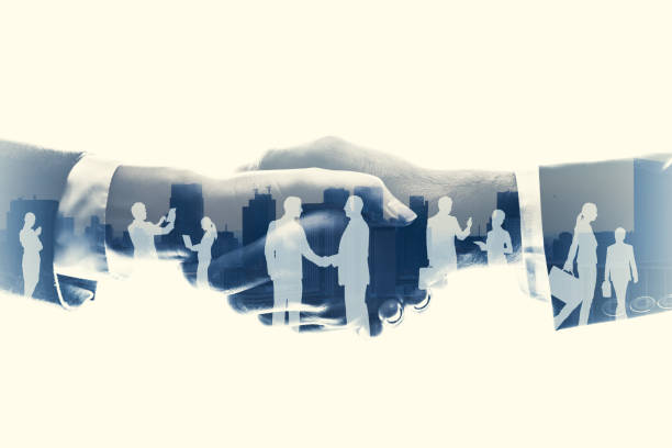 اعتمادسازی شرکتهای بازرگانی در تجارت با عراق با برندینگ دیجیتال و سئو دوزبانه پینو سایت