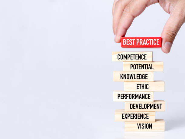 پینو سایت، شریک تحول دیجیتال کارگزاران گمرکی