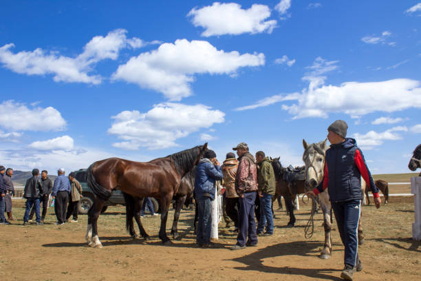 سئو تصویری اسب و بازاریابی بین المللی اسب اصیل