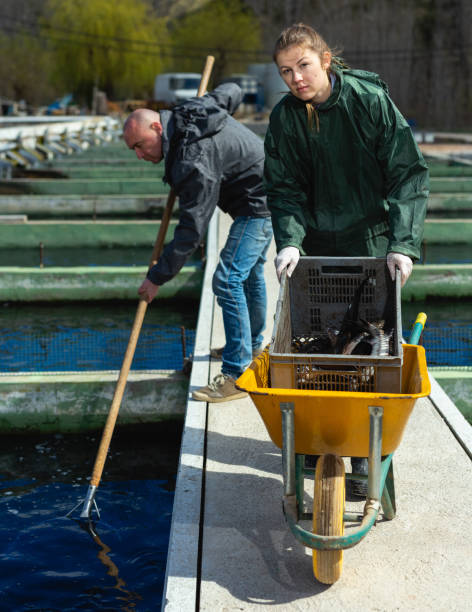 یکپارچهسازی IoT پرورش ماهی برای تضمین کیفیت