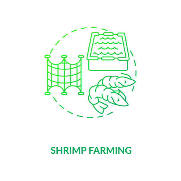 طراحی سایت پرورش میگو با پینو سایت