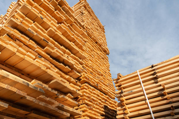 پشتیبانی وبسایت صنایع غذایی و مدیریت انبار