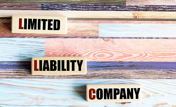 سرمایه گذاری در طراحی وبسایت و سئو برای آموزشگاه رانندگی - استراتژی صدرنشینی در سئو جستجوی صوتی و توسعه PWA برای آموزشگاههای رانندگی کرج