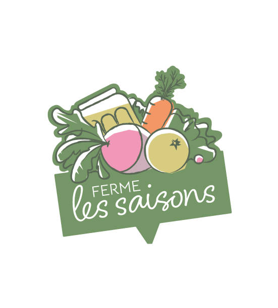 برندینگ دیجیتال برای محصولات ارگانیک، طراحی وبسایت فروشگاهی، سئو محتوایی، رشت