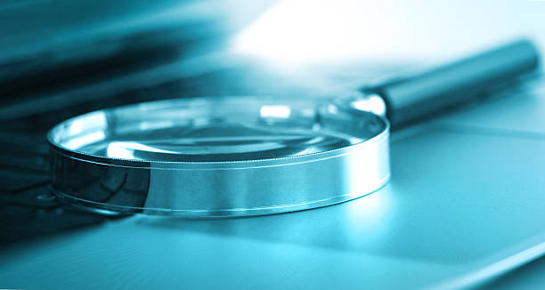 اهمیت سئو سبز و تحلیل دیجیتال برای وبسایت اقامتگاه بومگردی در یزد