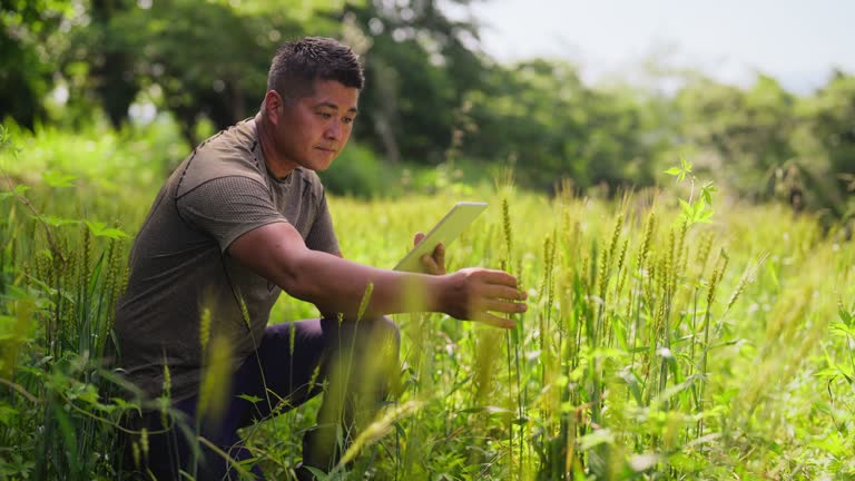 مدیریت هوشمند مزارع گلستان | کشاورز مرد با تبلت در مزرعه | نقش نرم افزار مدیریتی یکپارچه و سئو B2B فروشگاههای کشاورزی در گرگان | پینو سایت