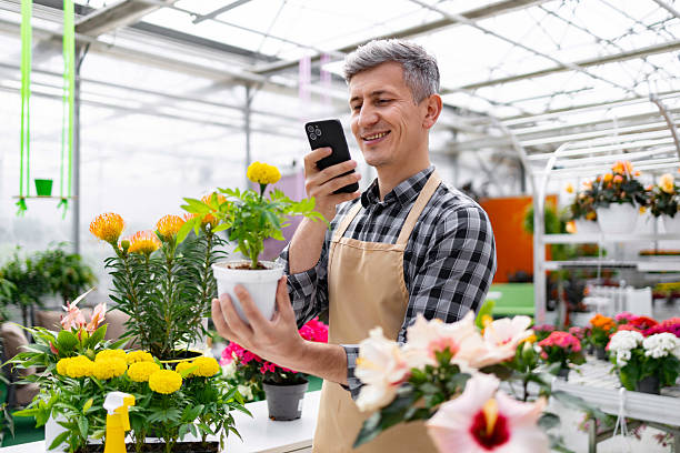 تولید محتوا و بازاریابی دیجیتال کشاورزی برای فروش آنلاین