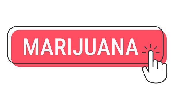 افزایش فروش آنلاین گل و گیاه با استراتژی های دیجیتال مارکتینگ - بازاریابی اینترنتی گل