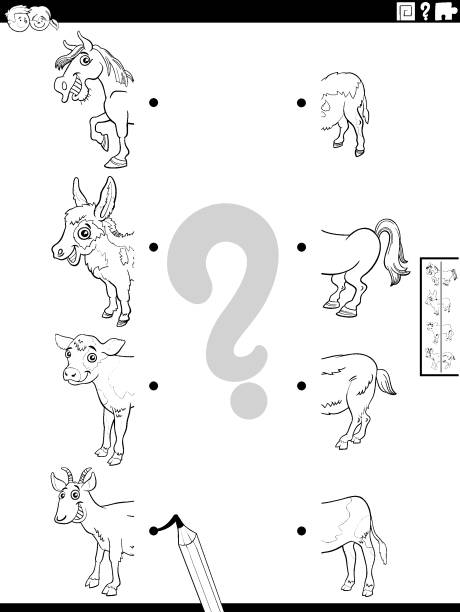 طراحی وبسایت و یکپارچهسازی سیستمهای هوشمند برای مدیریت هوشمند مزارع گلستان و سئو B2B کشاورزی