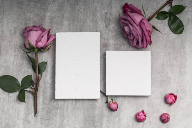 برندینگ دیجیتال مزون لباس عروس در اصفهان با واقعیت افزوده (AR) و طراحی سایت مدرن