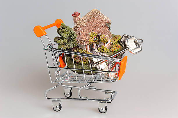 معماری اعتماد در بازار ویلاهای لوکس لواسان با برندینگ دیجیتال و طراحی تجربه کاربری سایت - ویلاهای لوکس، بازار املاک، آژانس املاک، طراحی وبسایت