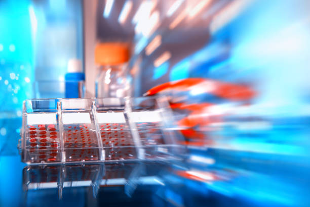 سئو آزمایشگاه تشخیص طبی، سلامت دیجیتال، سیستم مدیریت نتایج آزمایشگاهی