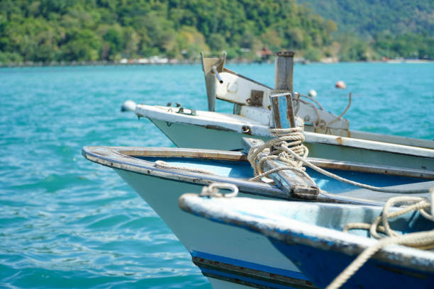 مدیریت صادرات به اوراسیا از تبریز: نقش ساخت نرم افزار CRM سفارشی در موفقیت سئو B2B برای کارخانجات خشکبار - مدیریت صادرات بین المللی و فرصت های اوراسیا