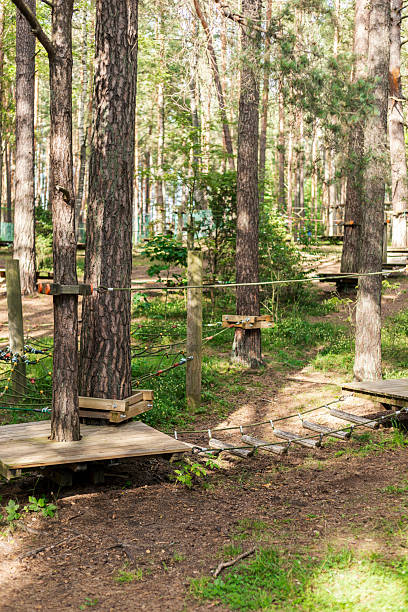 خلق تجربههای سفر منحصر به فرد: استراتژی دیجیتال مارکتینگ و شخصیسازی با هوش مصنوعی برای آژانسهای مسافرتی شیراز - ماجراجویی در طبیعت و خلق تجربه ای هیجان انگیز