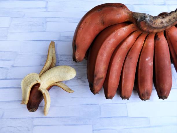 از زعفران تا پسته: چگونه ساخت CRM سفارشی، سئو بینالمللی صادرکنندگان خشکبار مشهد را برای بازارهای ۱۴۰۵ متحول میکند؟ - پسته، خشکبار و میوه خشک صادراتی با کیفیت بالا