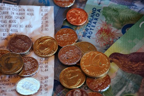 قیمت طراحی وبسایت و بازگشت سرمایه در صادرات کیوی