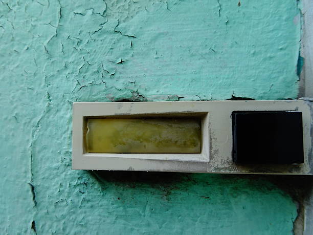 شروع همکاری با پینو سایت برای طراحی وبسایت فروشگاهی هنر