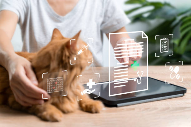 مدیریت سلامت حیوانات خانگی در همدان با نرم افزار یکپارچه