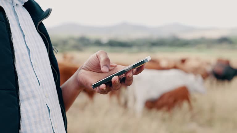 فروش آنلاین B2B دام از طریق وبسایت فروشگاهی مدرن و شفاف