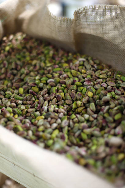 برندینگ جهانی پسته کرمان در ۱۴۰۵: بازار پر رونق پسته ایرانی، طراحی سایت صادرات پسته، سئو بینالمللی