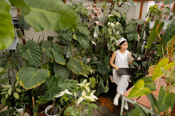 طراحی وبسایت فروشگاهی کشاورزی با استراتژی سئو و دیجیتال مارکتینگ - پینو سایت