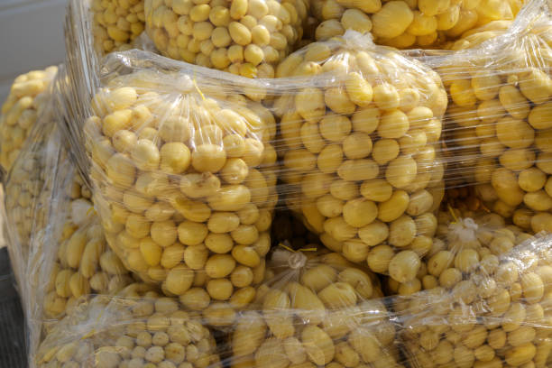 پتانسیل جهانیسازی سوهان قم با طراحی سایت D2C