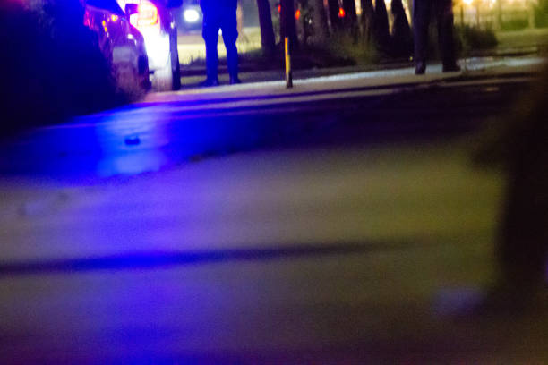 پاسخ فوری به نیاز مشتریان با PWA و سئو فوق محلی