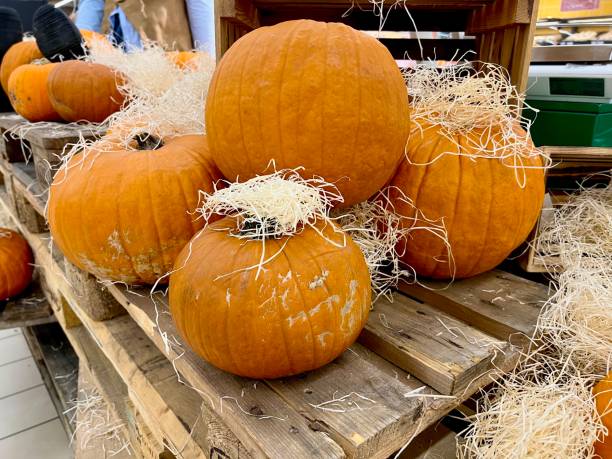 تحلیل دادههای فروش محصولات کشاورزی و مدیریت بهینه