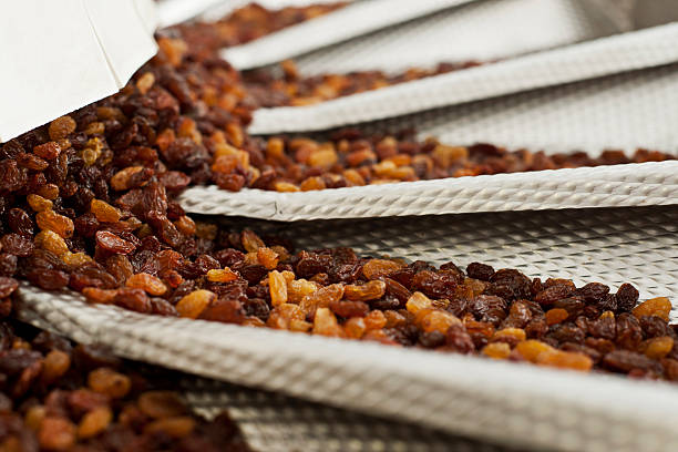 صادرات خشکبار از مشهد با استراتژی سئو بینالمللی و برندینگ دیجیتال