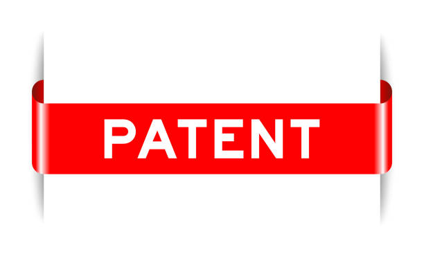 پردازش هوشمند خسارت در اراک با هوش مصنوعی و پشتیبانی سایت برای تحول تجربه کاربری شرکتهای بیمه