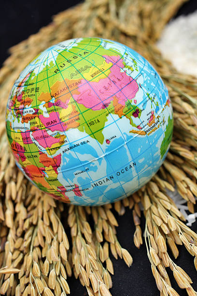 مواد اولیه با کیفیت در سوهان قم برای صادرات و جهانی سازی