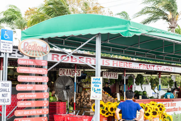 روایت دیجیتال مرکبات دزفول: راهنمای برندینگ و طراحی سایت D2C با یکپارچهسازی IoT برای تضمین کیفیت و فروش مستقیم - فروش مستقیم محصولات کشاورزی و برندینگ مرکبات