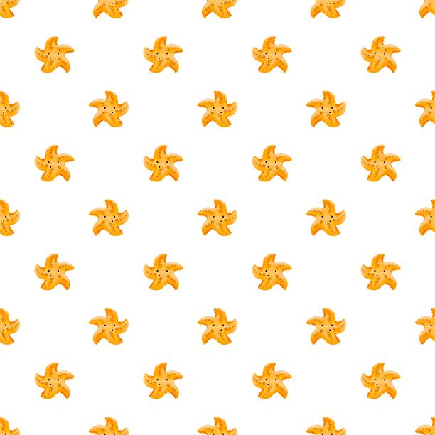 طراحی سایت تولیدی پوشاک D2C اصفهان - بهینهسازی تجربه کاربری و فروش آنلاین مستقیم