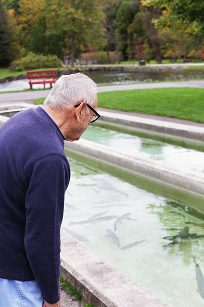 مزرعه پرورش ماهی در ساری - تضمین اصالت ماهی، برندینگ دیجیتال آبزیپروری، بلاکچین در شیلات