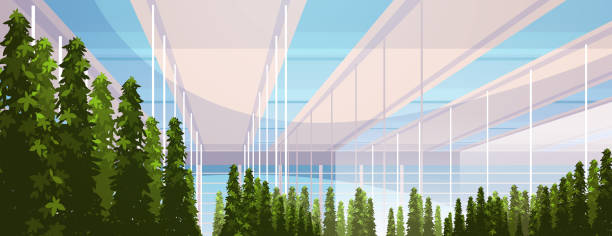 وکالت در کشاورزی هوشمند و برندینگ دیجیتال حقوقی برای دفاتر وکالت کرمانشاه