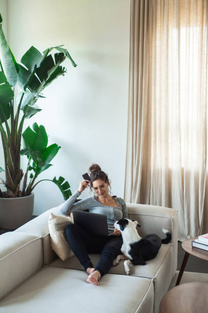 طراحی وبسایت با واقعیت افزوده و سئو برای فروش آنلاین مبلمان لوکس و جذب مشتریان در مازندران