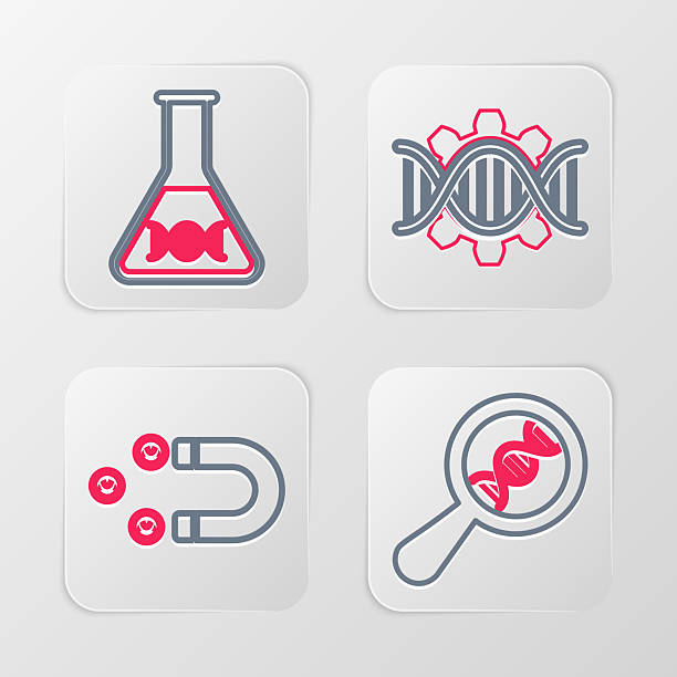 جذب قراردادهای صنعتی از قطب انرژی ایران: راهنمای جامع سئو B2B و دیجیتال مارکتینگ برای دفاتر وکالت تجاری در اهواز - بهینه سازی سئو B2B و جذب مشتری