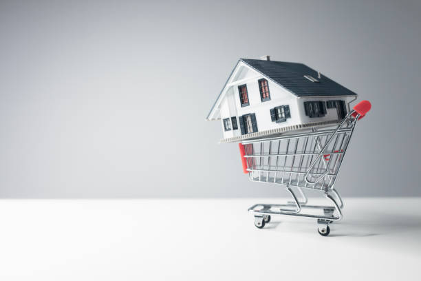 قیمت طراحی وبسایت معماری و بازگشت سرمایه