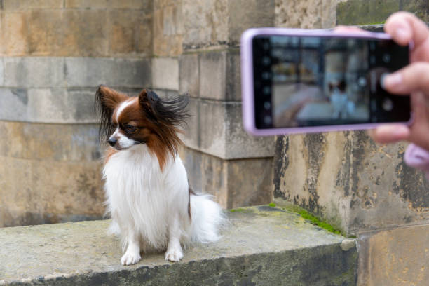 فرصتهای جدید برای کارآموزی فنی حرفهای و جذب نیروی متخصص در اراک - پینو سایت